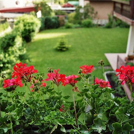 Ferienwohnungen im Herzen des Pfälzerwaldes Elmstein Exterior foto