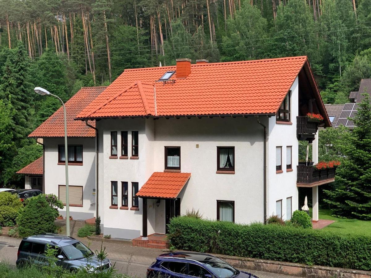 Ferienwohnungen im Herzen des Pfälzerwaldes Elmstein Exterior foto