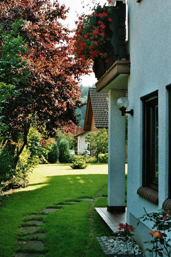 Ferienwohnungen im Herzen des Pfälzerwaldes Elmstein Exterior foto