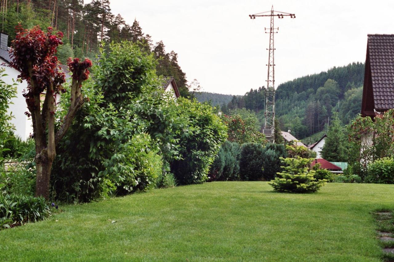 Ferienwohnungen im Herzen des Pfälzerwaldes Elmstein Exterior foto